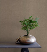 Ronald Redding Designs Rugged Linen Beige Wallpaper