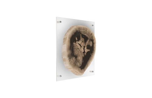 Phillips Floating Petrified Slice Wall Art Assorted 