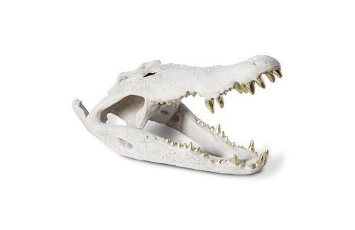 Phillips Crocodile Skull Roman Stone Gold Leaf