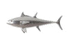 Phillips Collection Bluefin Tuna Fish Wall Sculpture Resin Silver Leaf Accent