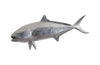 Phillips Collection Yellow Tailed King Fish Wall Sculpture Resin Polished Aluminum Finish Accent