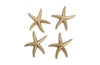 Phillips Collection Starfish Gold Leaf Set Of 4 Sm Accent