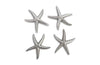 Phillips Collection Starfish Silver Leaf Set Of 4 Sm Accent