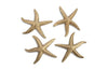 Phillips Collection Starfish Gold Leaf Set Of 4 Md Accent