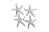 Phillips Collection Starfish Silver Leaf Set Of 4 Lg Accent
