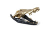Phillips Collection Crocodile Skull Black/Gold Leaf Accent