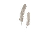 Phillips Collection Feathers Wall Art Small Silver Leaf Set Of 2 Accent