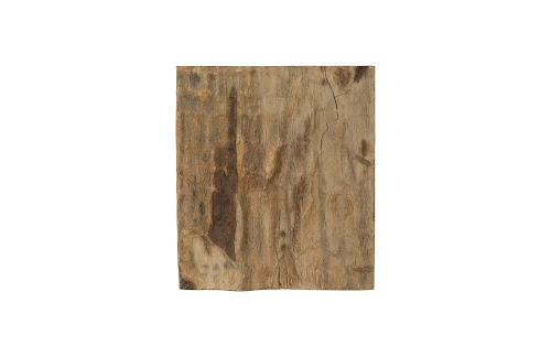 Phillips Cast Petrified Wood Wall Tile Resin Square