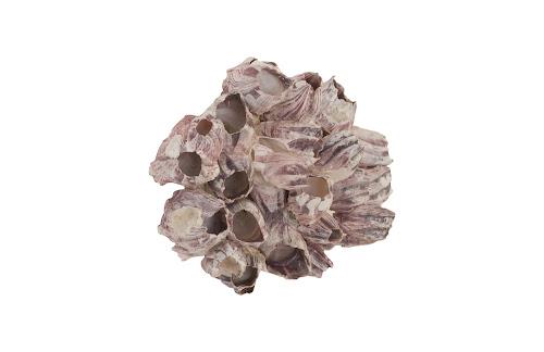 Phillips Barnacle Cluster Wall Art LG
