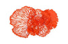 Phillips Collection Flower Wall Art Medium Coral Metal Accent