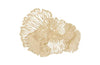 Phillips Collection Flower Wall Art Small Ivory Metal Accent
