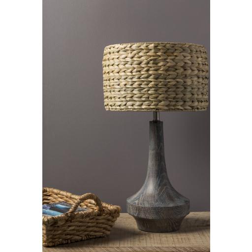 Surya Carson CALP-003 Lighting