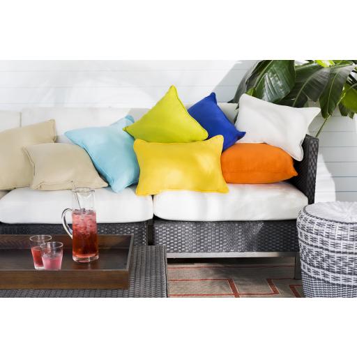 Surya Essien EI-005 Pillow Cover