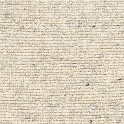 Surya Odessa ODS-2304 Rug
