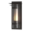 Hubbardton Forge Coastal Oil Rubbed Bronze Seeded Glass With Opal Diffuser (Zs) Torch Xl Outdoor Sconce With Top Plate