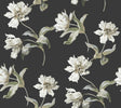 York Black Large Parrot Tulip Peel & Stick Black Wallpaper