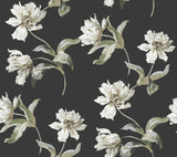 York Black Large Parrot Tulip Peel & Stick Black Wallpaper