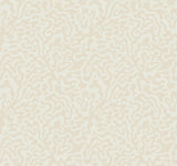 York Almond & Metallic Nebulous Cloud Beige Wallpaper