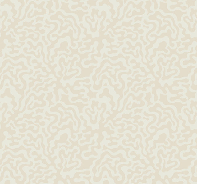 York Almond & Metallic Nebulous Cloud Beige Wallpaper
