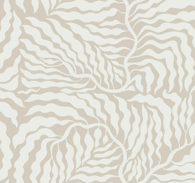 York Taupe & White Fern Fronds Beige Wallpaper