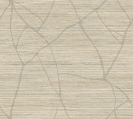 York Camel Raska Brown Wallpaper